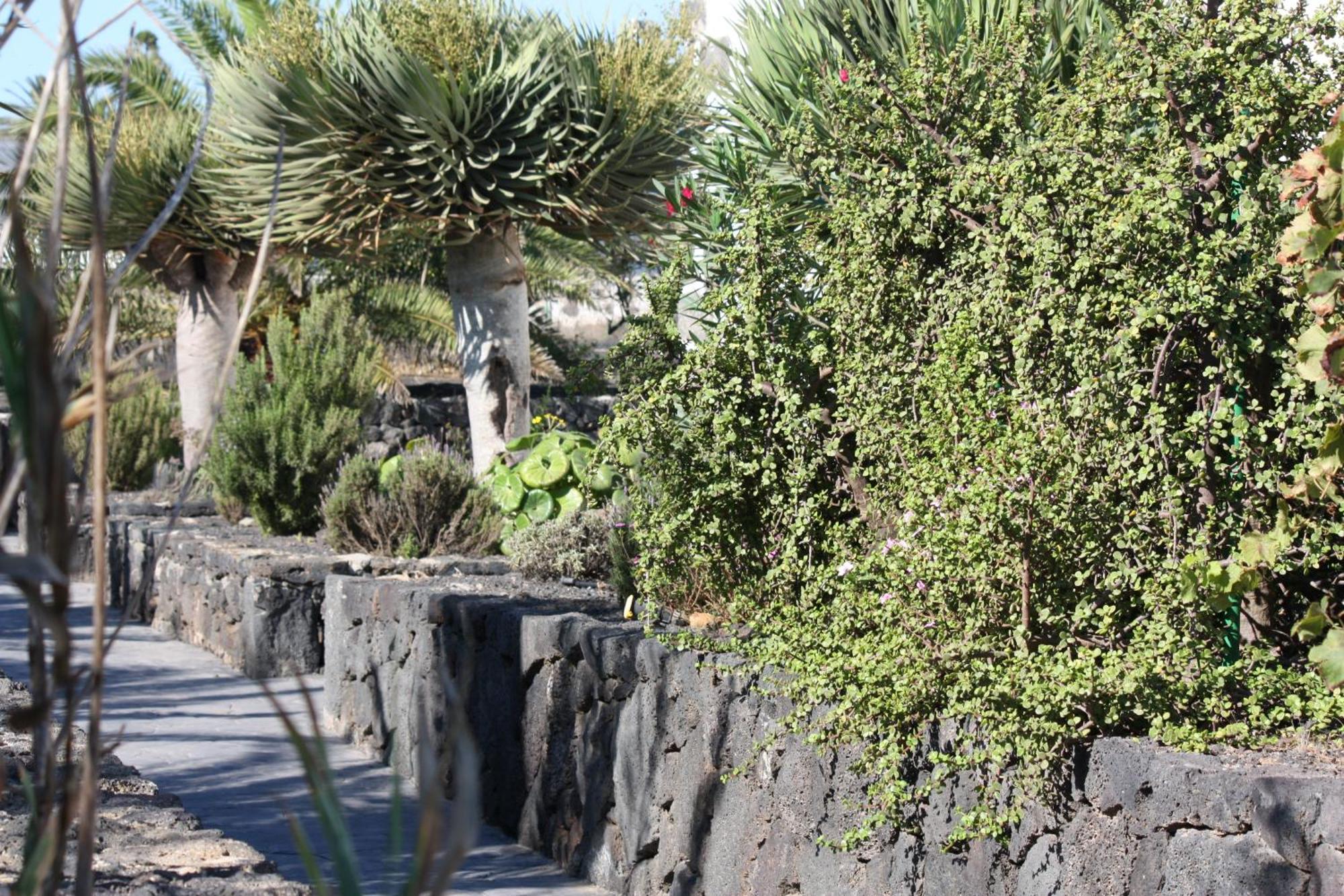 Casa Rural Finca Isabel Guest House Mozaga ภายนอก รูปภาพ